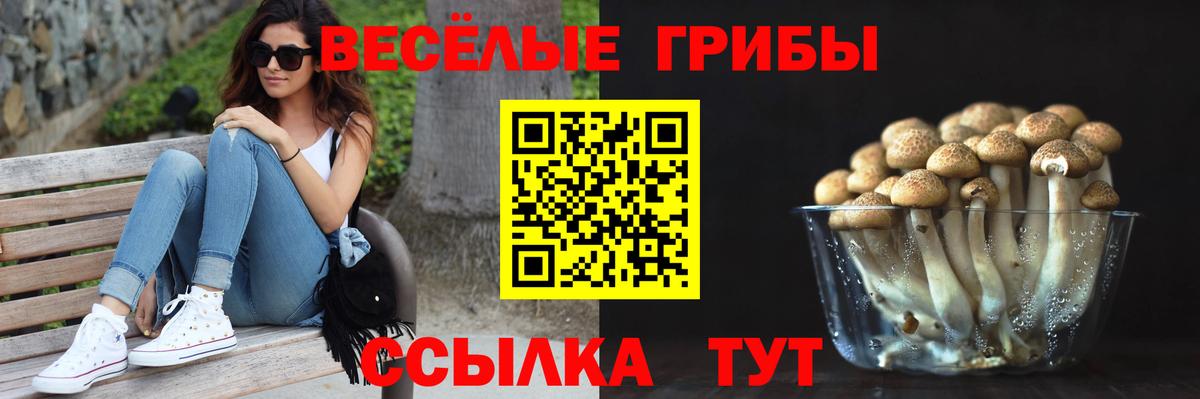 Галлюциногенные грибы Psilocybe Реж