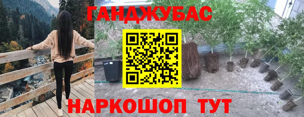 Каннабис план  Вход с VPN  Реж  Бошки марихуана THC 21%  Конопля LSD WEED 